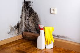 Why You Should Choose Our Mold Remediation Services in Lisbon Falls, ME